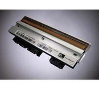 Zebra Kit Printhead 300 dpi ZM600 print head