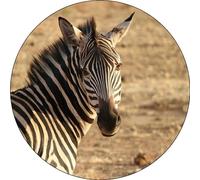 ZEBRA Premium Quality Edible Large 7.5 Inch Round Icing Cake Topper - Text can be Customizable - Make your Celebrations Memorable with Our Delightful Charming Cake Toppers D1