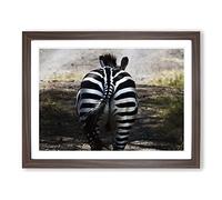 Zebra Rear No.2 Modern Framed Print | A4 Walnut Framed Wall Art | Ready to Hang | Modern Animal Picture | Living Room Bedroom Lounge Office