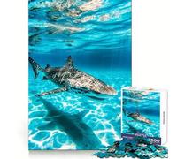 Zebra Shark Underwater 1000 Piece Jigsaws for Adults Puzzle Focus Training Stress Free Fun Tight Join Creative Gift (38x52cm)