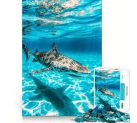 Zebra Shark Underwater Jigsaw Puzzle 1000 Logic Thinking Play Expert Cutting Craftsmanship Quiet Time Mind Exercise at Home (38x26cm)