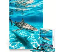 Zebra Shark Underwater Puzzle for Teenagers 1000 Pieces Brain Teasing Soothing Hobby Solid Lock Thoughtful Gift (50x75cm)