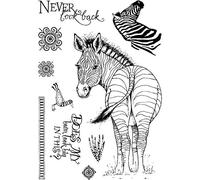 Zebra Stamp for Card Making Flowers Leaves Birds Clear Rubber Stamp for DIY Scrapbooking Paper Crafting Never Look Back,Does My Bum Look Big in This? Words Phrase Stamp Stamping Scrapbooking Supplies