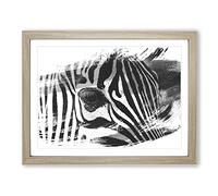 Zebra Vol.2 V1 Modern Framed Print | A4 Oak Framed Wall Art | Ready to Hang | Modern Animal Picture | Living Room Bedroom Lounge Office
