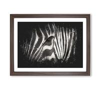 Zebra Vol.4 Paint Splash Modern Art Framed Print | A2 Walnut Framed Wall Art | Ready to Hang | Modern Animal Picture | Living Room Bedroom Lounge Office