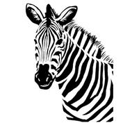 Zebra Wall Decal, Black and White Safari Animal Window Sticker, 40 x 30 cm