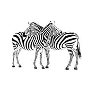 Zebra Wall Decal, Large Wildlife Wall Art Sticker, 59 cm x 40 cm