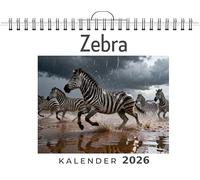 Zebra: Wandkalender 2026, Kalender DIN A4 quer, Monatskalender im Querformat mit Kalendarium, das perfekte Geschenk