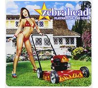 Zebrahead - Playmate of Year [Import]