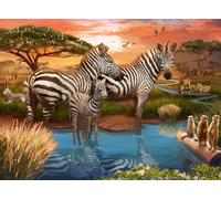 Zebras at the waterhole