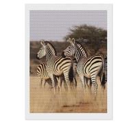 Zebras On South Africa Diamond Art Kits for Adults 12"x16" DIY Diamond Painting Kit for Beginners Gem Art Painting with Round Full Drill Diamonds DIY Paint Paintings for Home Wall Decor Gift