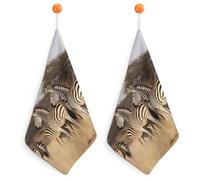 Zebras On South Africa Kitchen Towels Set -2PCS Super Absorbent Hand Towels, Soft Face Towel Set with Hanging Loop Lightweight Quick Dry Microfiber Dish Towels for Yoga Camping Hotel Spa Travel