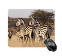 Zebras On South Africa Mouse Pad 20 * 25cm - Non-Slip Rubber Base Mouse Mat Portable Square Desk Mat for Office, Laptop, Travel, Wireless Mice Mats - Waterproof & Durable Design