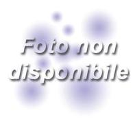 zecchino verde AudioCD Italian Import