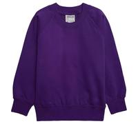 ZECO Boys Girls Unisex Crew Neck Sweatshirt School Uniform Kids Jumper (2-16 Years) Purple