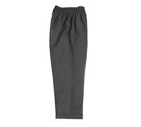 Zeco School Boys Uniform Full Elastic Waist Pull Up On Trousers All Sizes Colours Black Grey Navy Free Postage (Age 9/10, Grey)