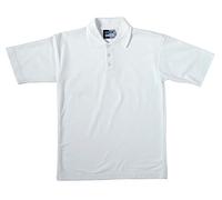 Zeco sold by Essential Wear 2 School Boys Quality Short Sleeve Polo Shirt Age 2 3 4 5 6 7 8 9 10 11 (Age 9/10 Years, White)