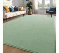 Zedrew Sage-Green Area Rug, 6x9 Feet Modern Shag Carpet for Bedroom Living Room, Thickened Memory-Foam, Non-Slip, Washable