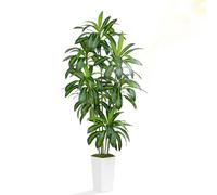 ZEEOZE 210cm Dracaena Plant Artificial Tree Tall Fake Tropical Floor Plants Potted Artificial Silk Tree Leaf Faux Trees White Tall Planter for Home Office Living Room Indoor Outdoor Decor