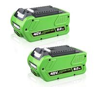 ZEERISA 8.0Ah 29462 29472 Lithium 40V Battery Replacement Compatible with GREENWORKS 40Volt 29472 29462 2901319 24282 (8.0Ah 2 Pack)