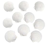 Zeevill 10 Pcs Sea Shells White Scallop Shells, 2''-3'' and 3''-3.5'' Natural Seashells for DIY Crafts Seashell Beach Decorations for Home Decor