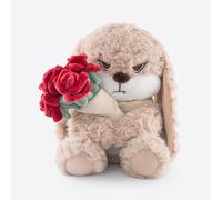 ZEIO 11.4"/29CM Adorable Bunny Plush Rabbit Teddy - Hugging Rose Bouquet, Ultra-Soft Cuddly Toy, for Girls, Kids, Valentine's Day (Brown/Red)-A Surprise That Never Fades