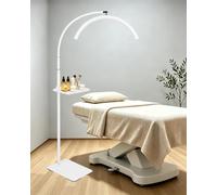 ZEKAHOV Half Moon LED Floor Light with Tool Tray for Lash Techs, Eyelash Extensions, Estheticians, Skincare, Nail Art, Tattoo Artists, Home & Office - Professional Shadow-Free Lamp | Dimmable (White)