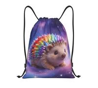 Zelinge Cute Drawstring Bags Gym Sackpack Drawstring Bag For Sport Camp Travel Dance, Pastel Galaxy Hedgehog, 14 x 16.9 inch, Daypack Backpacks