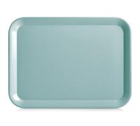 Zeller Melamine Tray 43.5 x 32.5 cm Mint