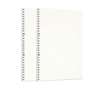 Zelten Loose Leaf Punched Paper Refills Paper for 6 Hole Binder Personal Organizer Diary Notebook Refillable Planner (Sketch,A4/30 Hole)