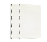 Zelten Loose Leaf Punched Paper Refills Paper for 6 Hole Binder Personal Organizer Diary Notebook Refillable Planner (Lined,A4/30 Hole)