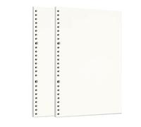 Zelten Loose Leaf Punched Paper Refills Paper for 6 Hole Binder Personal Organizer Diary Notebook Refillable Planner (Sketch,B5/26 Hole)