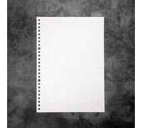 Zelten Refills/Loose Leaves for B5 Cover Ring Binder/Personal Organiser/Planner(B5 26 Holes, Grid Graph 2 Pack)