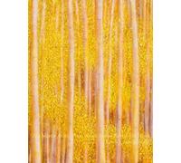 Zen Master Avatar Prem Anadi Bunny Rabbit The Third Gives Violin Lessons