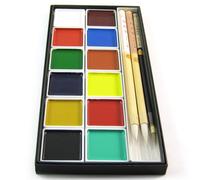 Zen Minded Japanese & Chinese Ink Painting Shodo Calligraphy Art Brush Set - 12 Colours & 3 Brushes
