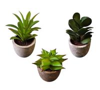Zen&Tao Artificial Succulent Plants in Pots Eco-Friendly Planters Small Sizes Different Variety for Home and Office Decors (Option E)