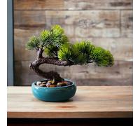 ZEN&TAO Realistic Look Lifelike Artificial Pine Bonsai Tree in Glazed Coating Ceramic Pot for Home Office Business Decoration (Green Pot)
