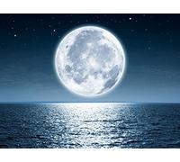 Zen - The Moon in a Dewdrop and Impermanence