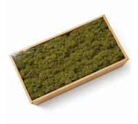 ZenceWell Preserved Reindeer Moss Natural Green Colorful DIY Kit Gardenning Art Wall Decor Florist Decor Easter Table Decor Wedding Decor (1.1lb) (olive green)