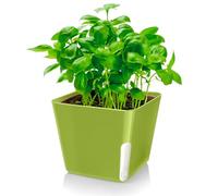 Zendea Green Square vase, nd