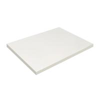 Zenfora 100pcs A3 A4 PET Transfer Film For Ink DTF Printing PET Film Printing And Transfer Double Side Compatible With A3 A4 Printers(A3 single side)