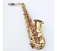 ZENGXUE Alto Saxophone Eb Coffee Color Copper Professional Playing Woodwind Instrument With Mouthpiece Sax Beginners Kit (Color : Gold)