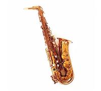 ZENGXUE Alto Saxophone Eb Coffee Color Copper Professional Playing Woodwind Instrument With Mouthpiece Sax Beginners Kit (Color : Champagne)