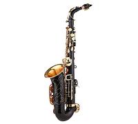 ZENGXUE Black Paint E-flat Sax Brass Eb Alto Saxophone Alto With Mouthpiece Musical Instruments Sax Beginners Kit