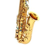 ZENGXUE E Alto Drop Sachs Abalone Buttons Gold-painted Beginners The Saxophone Sax Beginners Kit