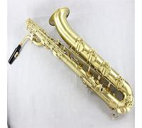 ZENGXUE E Flat Alto Saxophone Instrument Brushed Surface Sax Beginners Kit
