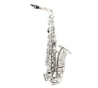 ZENGXUE Eb Alto Saxophone Brass Silver Plated Professional Woodwind Instrument E Flat Sax With Case Strap Sax Beginners Kit