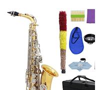 ZENGXUE Glossy Brass Engraved Alto Saxophone Eb E-Flat Natural White Shell Button Wind Instrument Sax Beginners Kit (Color : Gold and white)
