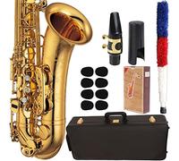 ZENGXUE Tenor Saxophone Gold Lacquer With Case Sax Tenor Mouthpiece Ligature Reeds Neck Musical Instrument Sax Beginners Kit (Color : Gold)