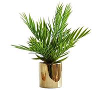 ZENGYUAN North European potted green leaf succulent plant simulation plant decoration fake flower table green planting small decoration indoor living room (F)